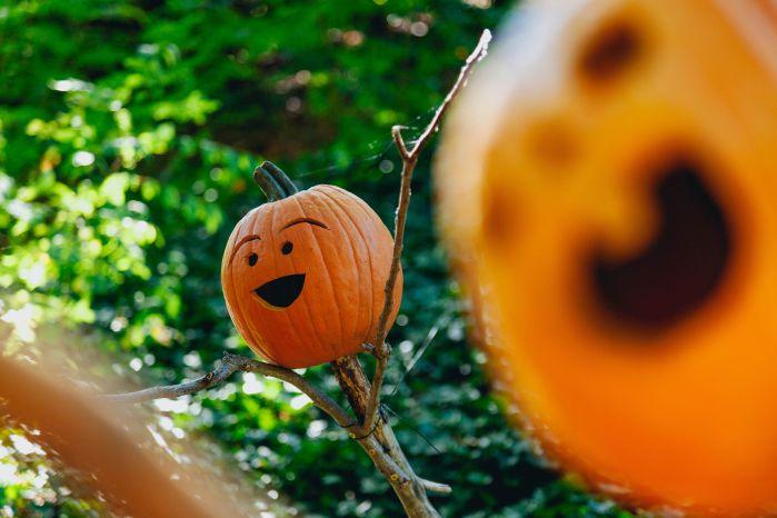 abóbora de hallowen